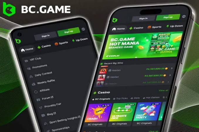 The Ultimate Guide to BC.Game Casino A World of Excitement and Opportunities